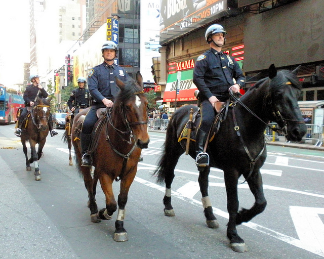 NYPD horseback
