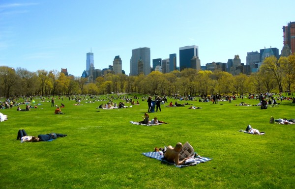 Sheep Meadow, Central Park - Walks of New York